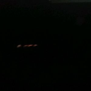 Meet your Posher, Jeanette